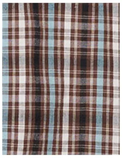 ABrand Jeans Bobby Check Shirt