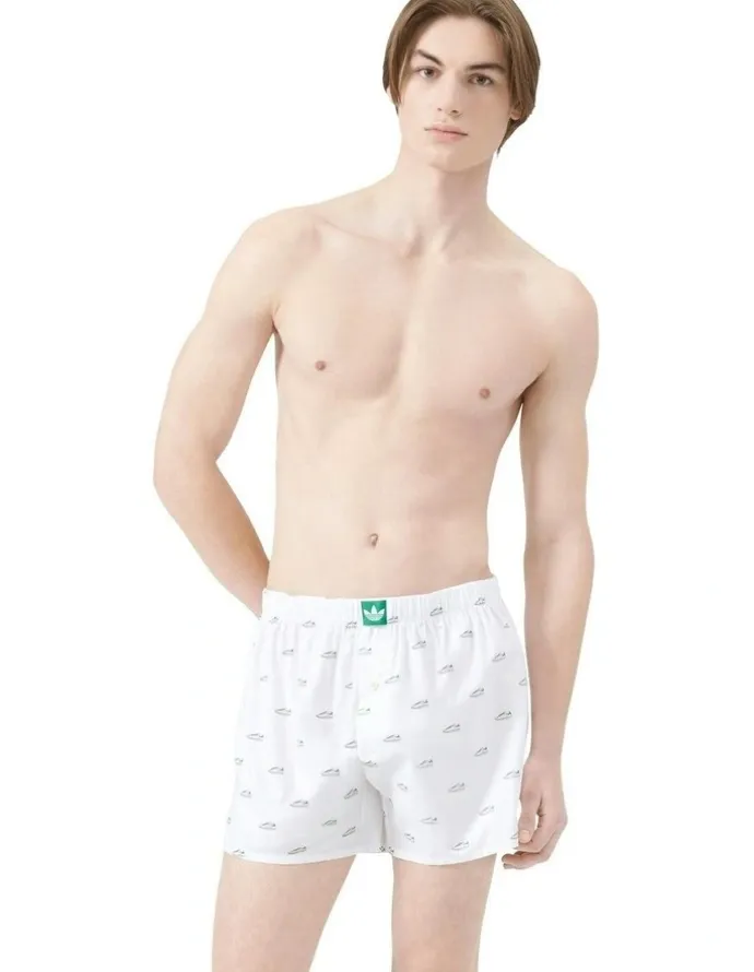adidas 2 Pack Comfort Core Cotton Icon Woven Boxer Underwear in Assorted