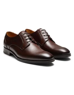 Aquila Barney Derby Shoes in Brown