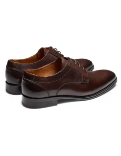 Aquila Barney Derby Shoes in Brown