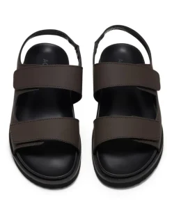 Aquila Bodie Sandals in Brown