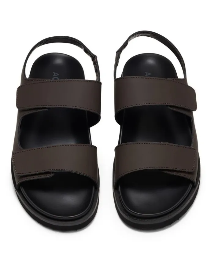 Aquila Bodie Sandals in Brown