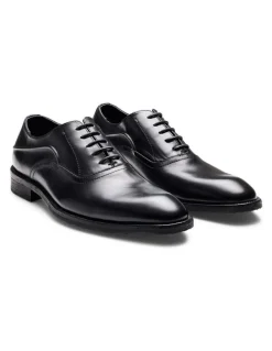 Aquila Bonham Oxford Shoes in Black