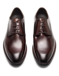 Aquila Daltrey Derby Shoes in Brown