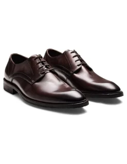 Aquila Daltrey Derby Shoes in Brown