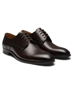 Aquila Dyer Derby Shoes in Brown
