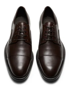 Aquila Grantham Derby Shoes in Brown