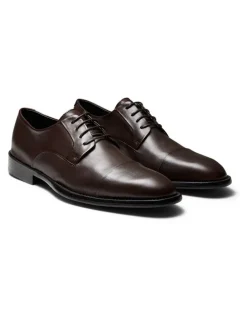 Aquila Grantham Derby Shoes in Brown