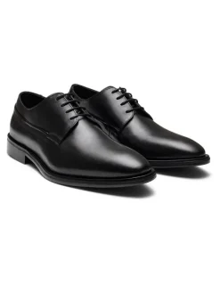Aquila Langley Derby Shoes in Black
