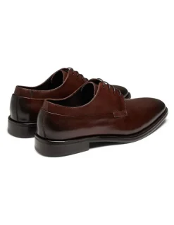 Aquila Langley Derby Shoes in Brown