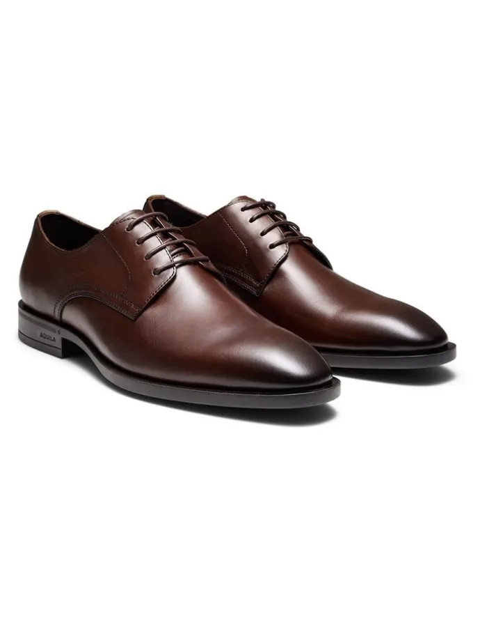 Aquila Magnus Derby Shoes in Brown