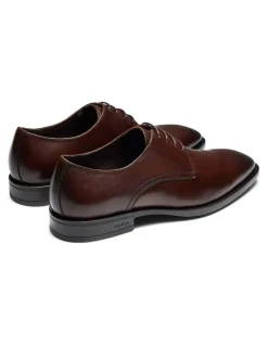 Aquila Magnus Derby Shoes in Brown