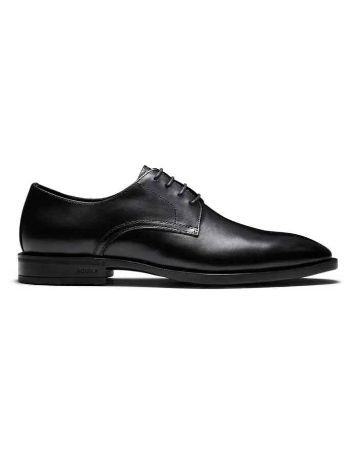 Aquila Magnus Derby Shoes in Black