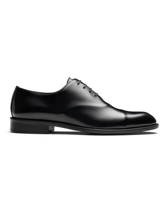 Aquila Stark Dress Shoes in Patent Black