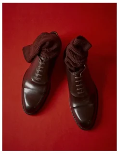 Aquila Stark Dress Shoes in Brown