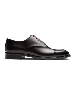 Aquila Stark Dress Shoes in Brown