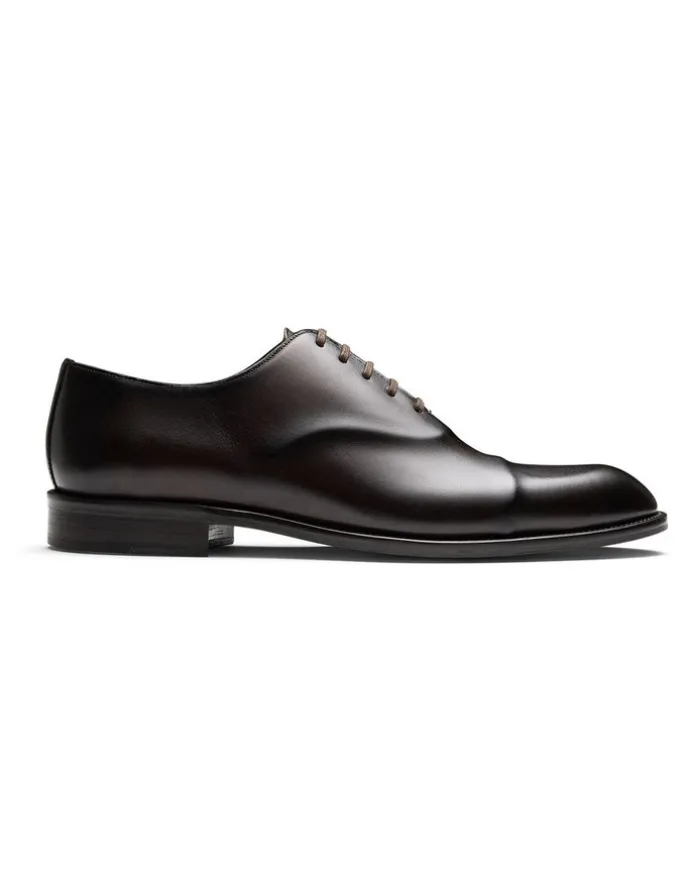 Aquila Stark Dress Shoes in Brown
