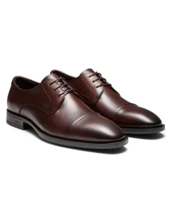 Aquila Stuart Derby Shoes in Brown