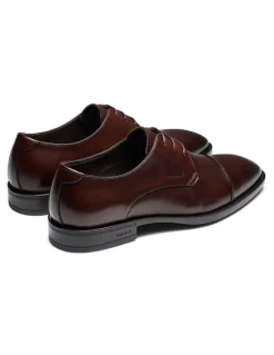 Aquila Stuart Derby Shoes in Brown