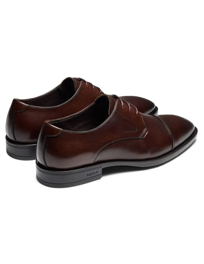 Aquila Stuart Derby Shoes in Brown