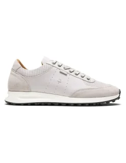 Aquila Apollo Sneakers in Light Grey