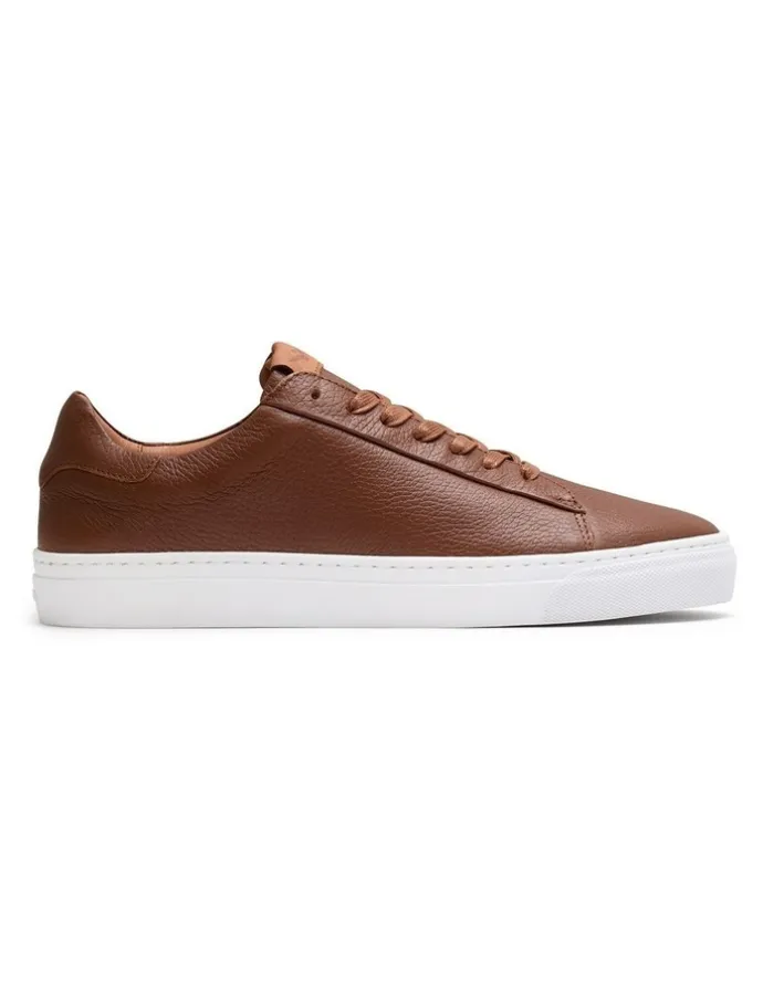 Aquila Deco 2.0 Leather Sneakers in Tan