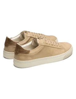 Aquila Deco 2.0 Mono Sneakers in Taupe