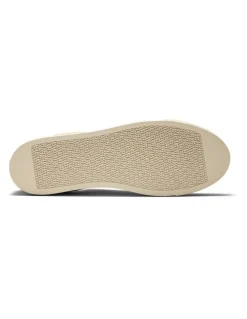 Aquila Deco 2.0 Mono Sneakers in Taupe
