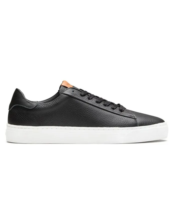 Aquila Deco 2.0 Sneakers in Black