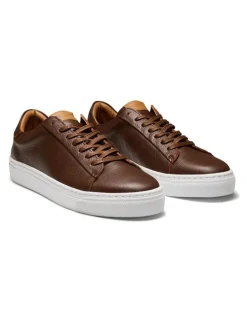 Aquila Deco 2.0 Sneakers in Chocolate