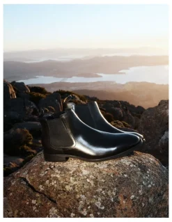 Aquila Fogerty Chelsea Boots in Black