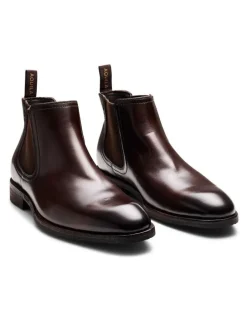 Aquila Fogerty Chelsea Boots in Brown