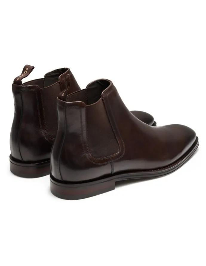 Aquila Lawrence Leather Chelsea Boots in Brown