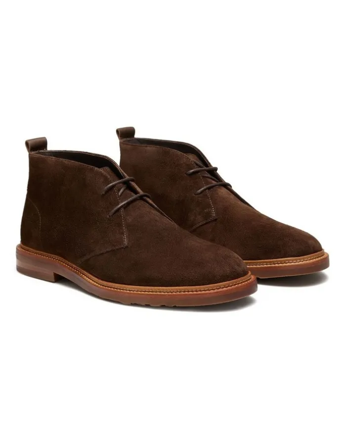 Aquila Ollie Suede Chukka Boots in Chocolate