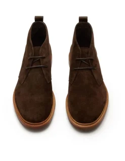 Aquila Ollie Suede Chukka Boots in Chocolate