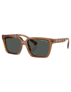 Armani Exchange Injected Sunglasses in Brown