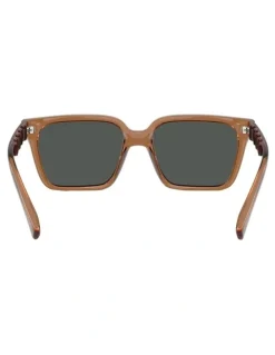 Armani Exchange Injected Sunglasses in Brown
