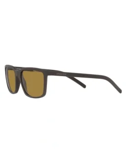 Arnette Eskimo Polarised Sunglasses in Matte Brown