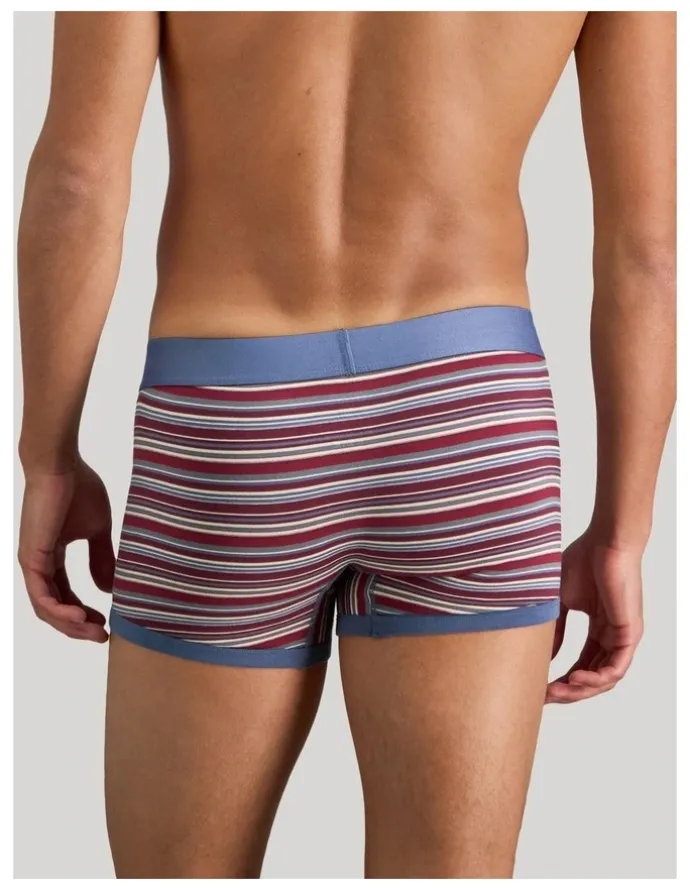Bendon Man Bold Stripe Mens Trunk in Indigo/Fig Stripe