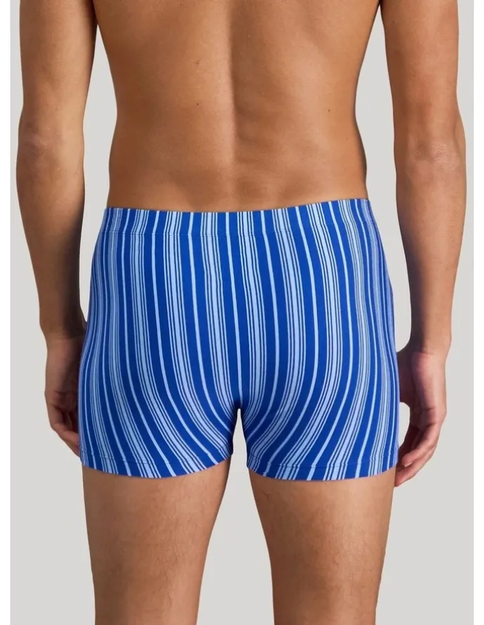 Bendon Man Cotton Stretch Mens Trunk in Surf The Web Stripe
