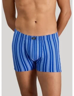 Bendon Man Cotton Stretch Mens Trunk in Surf The Web Stripe