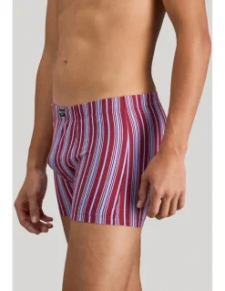 Bendon Man Cotton Stretch Mens Trunk in Tibetan Red Stripe