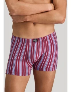 Bendon Man Cotton Stretch Mens Trunk in Tibetan Red Stripe