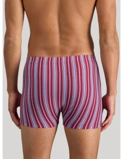 Bendon Man Cotton Stretch Mens Trunk in Tibetan Red Stripe