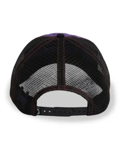 Billabong Web Trucker Cap in Multi
