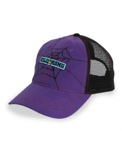 Billabong Web Trucker Cap in Multi