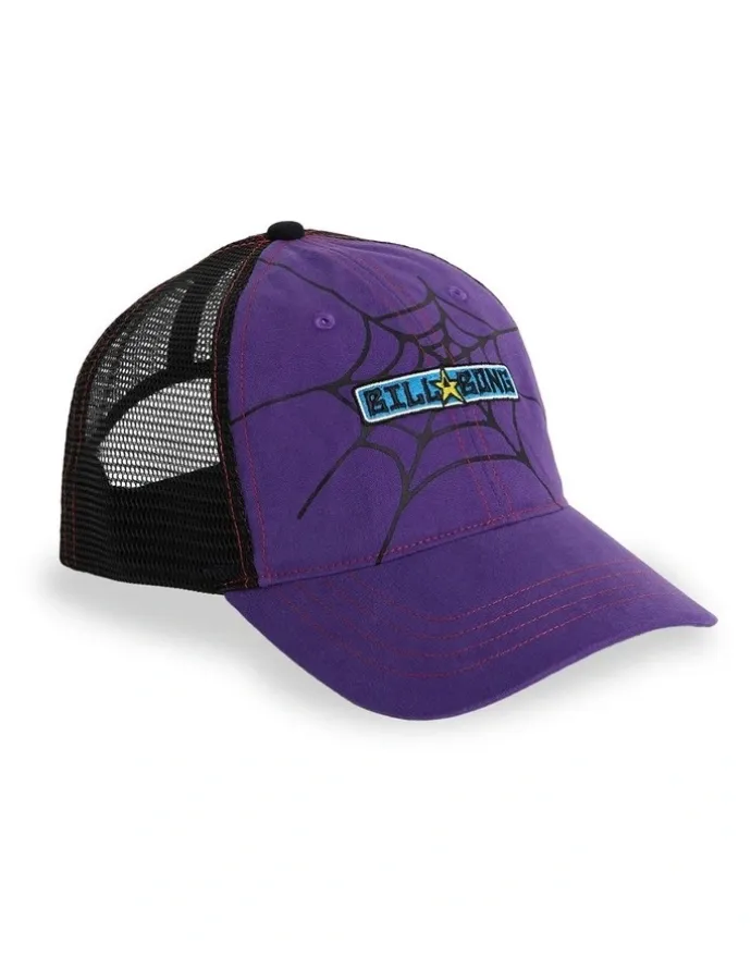 Billabong Web Trucker Cap in Multi