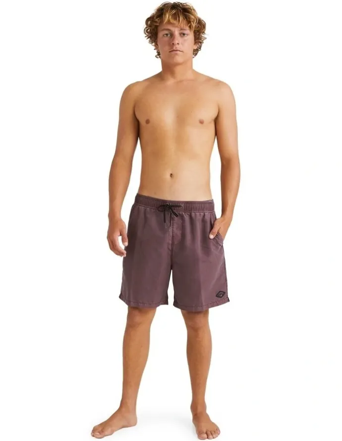 Billabong All Day Ovd Layback Port Shorts in Purple