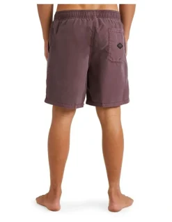 Billabong All Day Ovd Layback Port Shorts in Purple