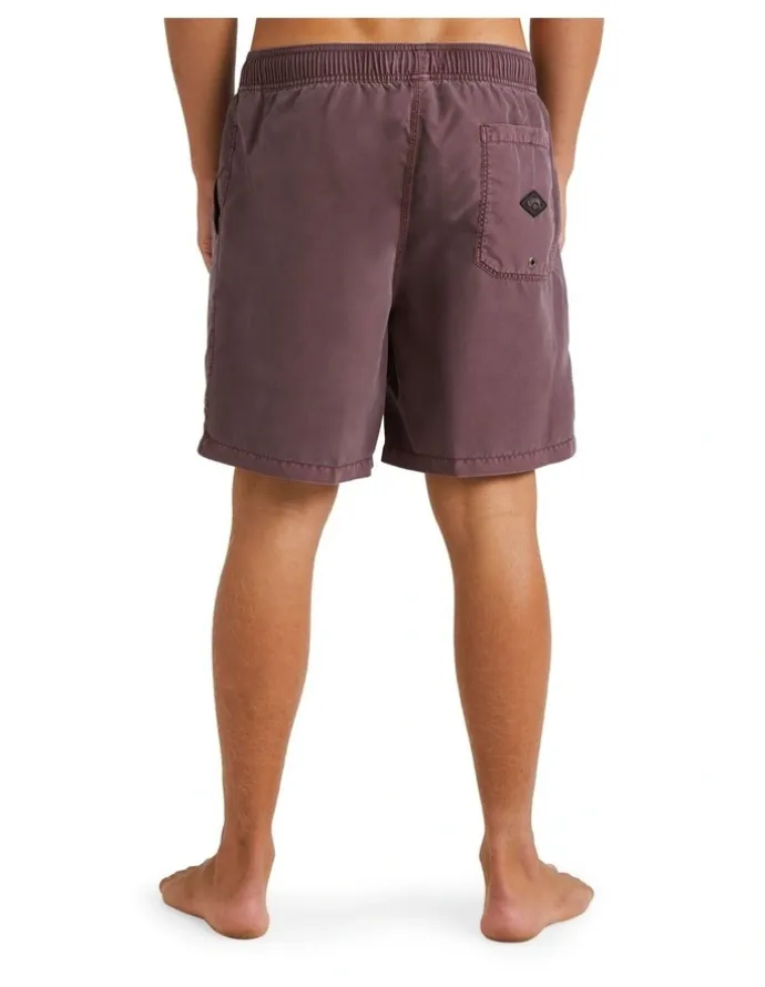 Billabong All Day Ovd Layback Port Shorts in Purple